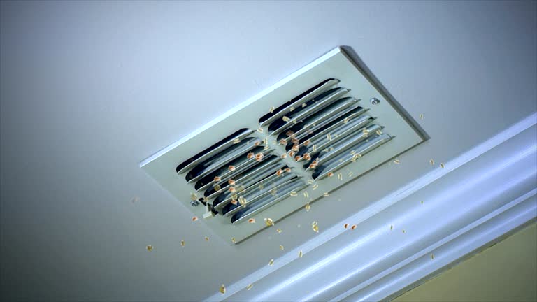 Best Air Duct Mold Removal  in Bellevue, ID
