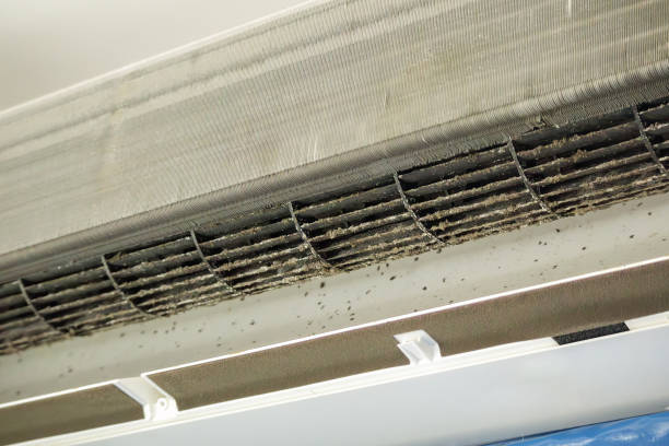 Air Duct Mold Removal in ID